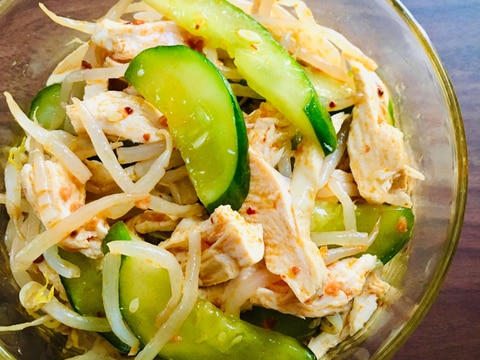 蒸し鶏ともやし*きゅうりのピリ辛あえ